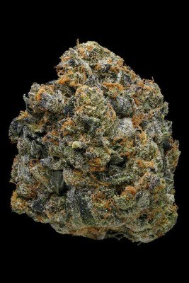 Girl Scout Cookie Review Thin Mint Strain