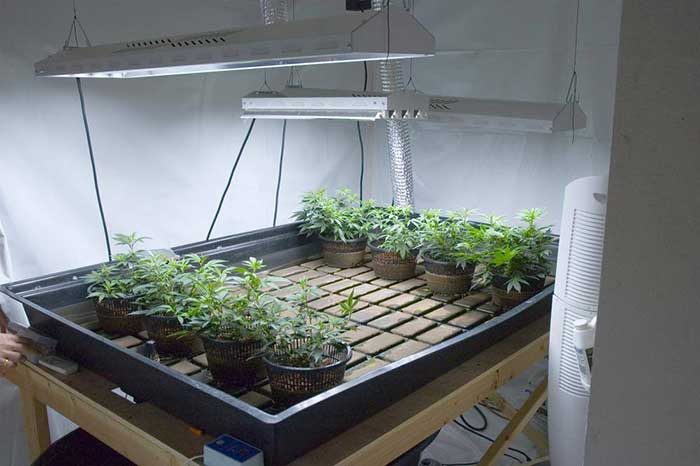The Best Heater For The Grow Room Or Grow Tent